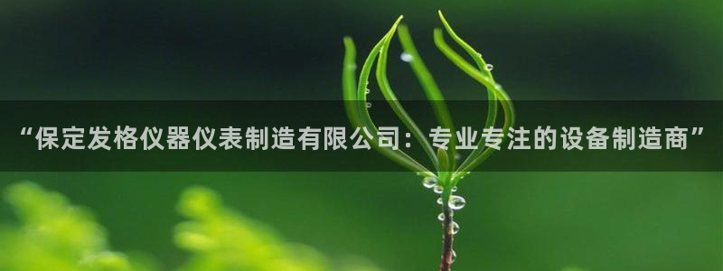 恒行娱乐河沂74ooo5程：“保定发格仪器仪表制造有限公司：