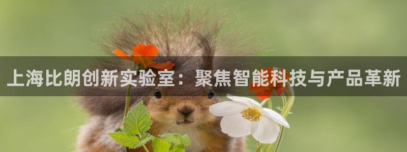 恒行注册全2O5O5O：上海比朗创新实验室：聚焦智能科技与产