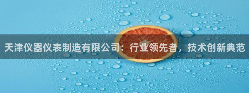 恒行2朱74OOO5：天津仪器仪表制造有限公司：行业领先者，