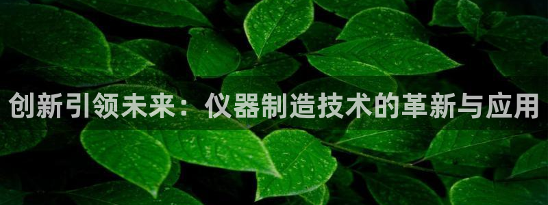恒行2下74OOO5：创新引领未来：仪器制造技术的革新与应用