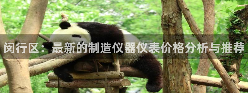 恒行5娱乐：闵行区：最新的制造仪器仪表价格分析与推荐