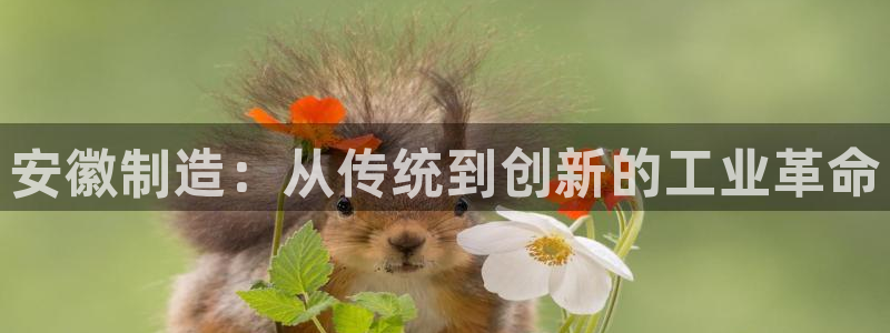 恒行2许74OOO5：安徽制造：从传统到创新的工业革命