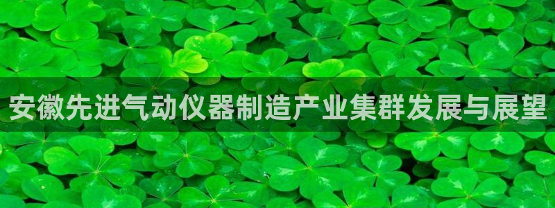 恒行2褚74OOO5：安徽先进气动仪器制造产业集群发展与展望