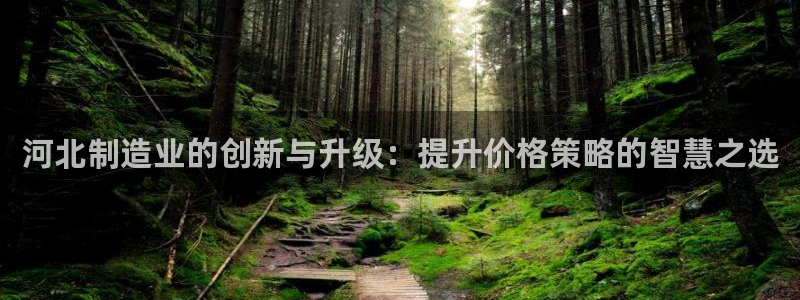 恒行2下74OO5：河北制造业的创新与升级：提升价格策略的智