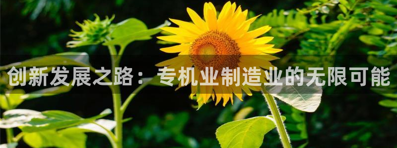 恒行招商老大诚挚 6ll5l：创新发展之路：专机业制造业的无