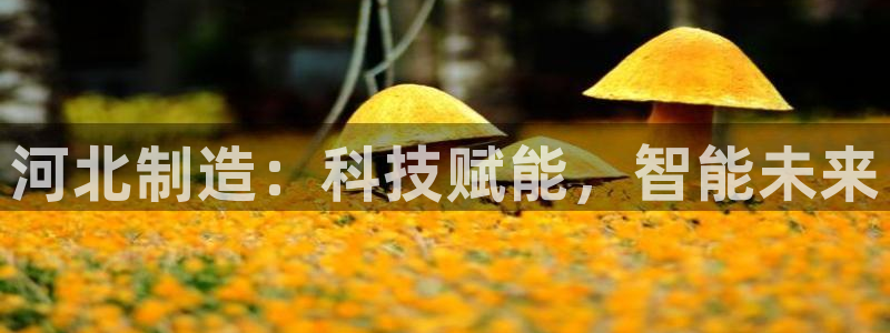 恒行娱乐冯74OOO5：河北制造：科技赋能，智能未来