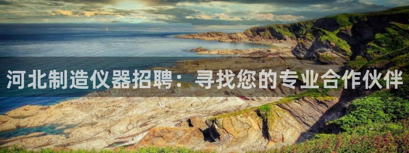 恒行2杨74OOO5：河北制造仪器招聘：寻找您的专业合作伙伴