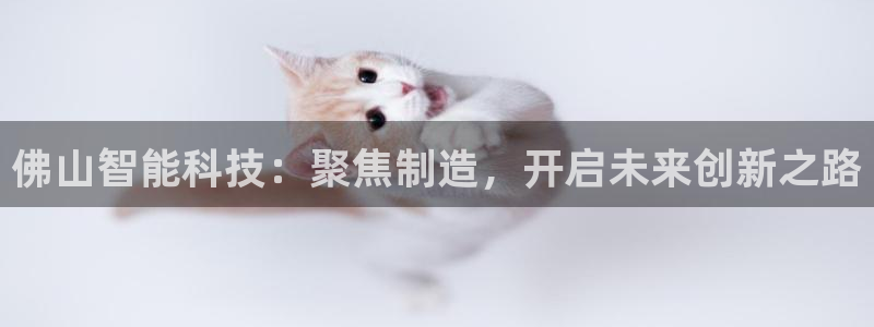 恒行2沈74OOO5：佛山智能科技：聚焦制造，开启未来创新之