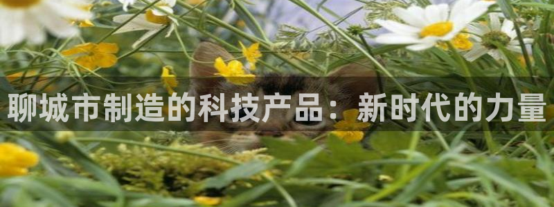 恒行娱乐见5ll533主管：聊城市制造的科技产品：新时代的力