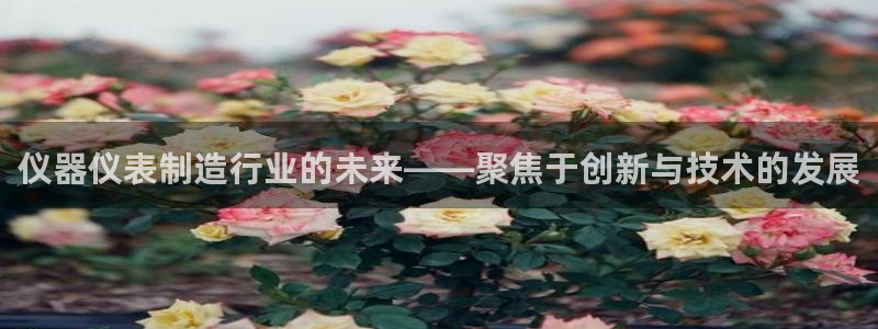 恒行娱乐婆蹬74ooo5盗：仪器仪表制造行业的未来——聚焦于