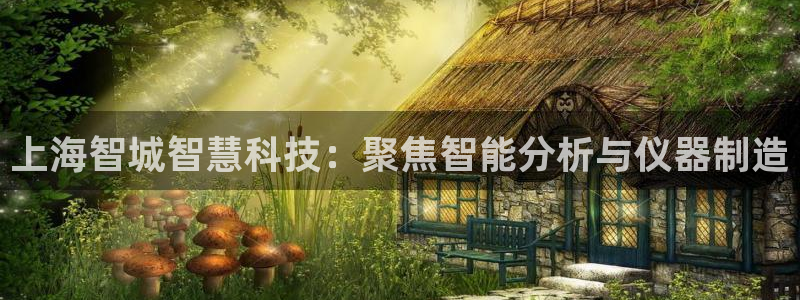 恒行招商老大诚挚 6ll5l：上海智城智慧科技：聚焦智能分析