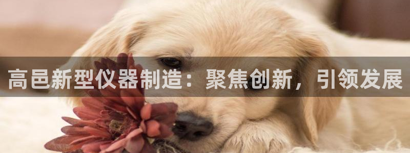 恒行2韩74OOO5：高邑新型仪器制造：聚焦创新，引领发展