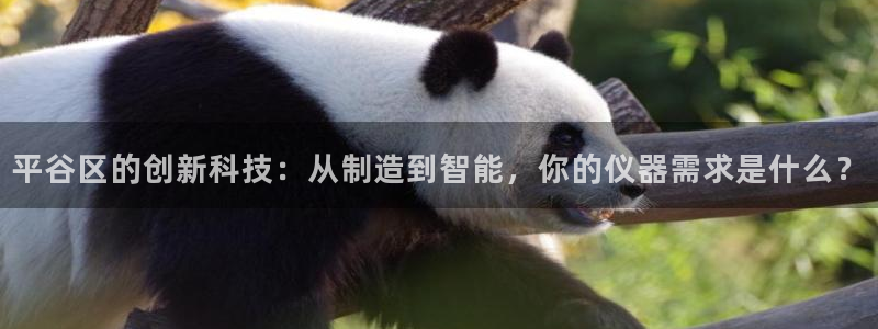 恒行彩票亏5千：平谷区的创新科技：从制造到智能，你的仪器需求