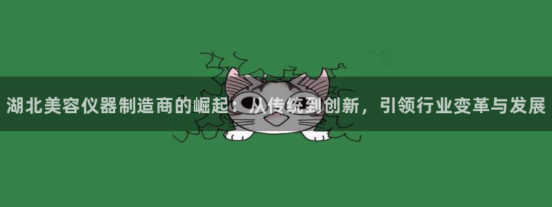 恒行2冯74OOO5：湖北美容仪器制造商的崛起：从传统到创新